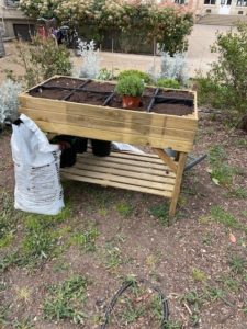 Potager dans un carré en hauteur