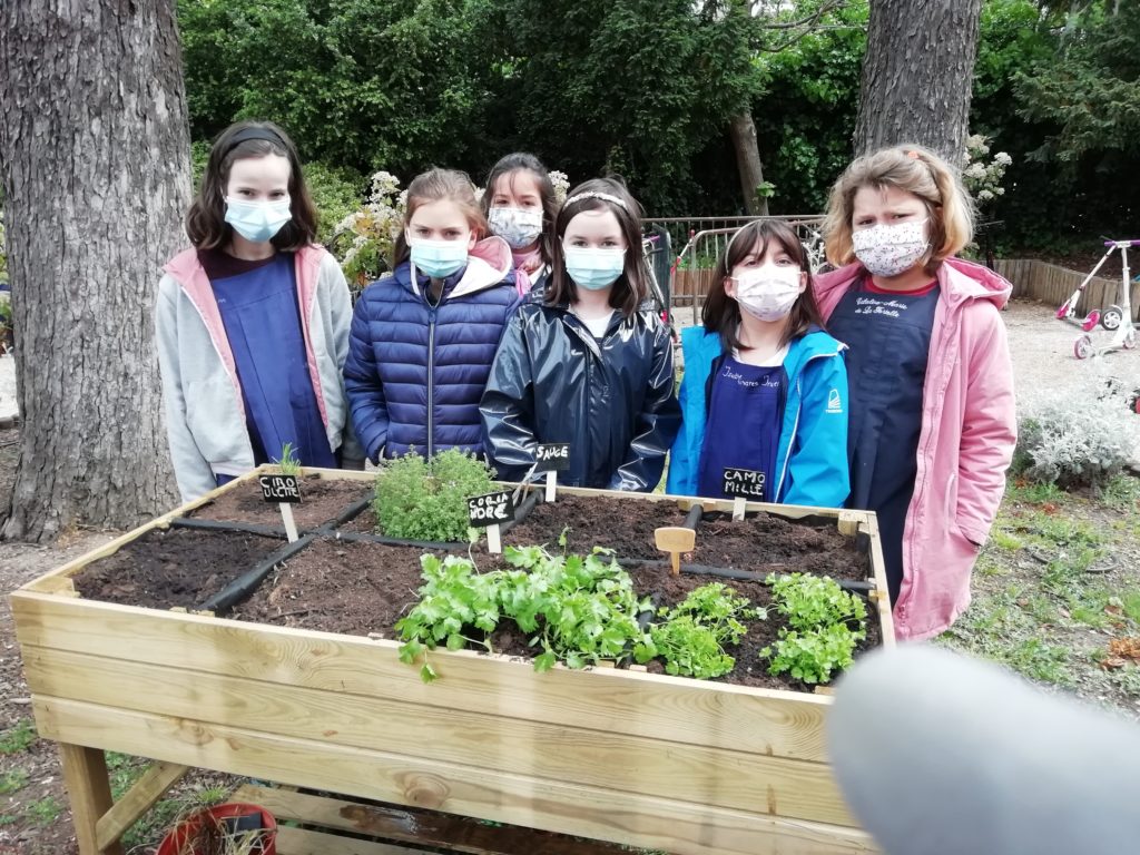 Le potager au Petit Collège